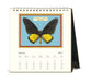 2027 Cavallini & Co. Butterflies Desk Calendar