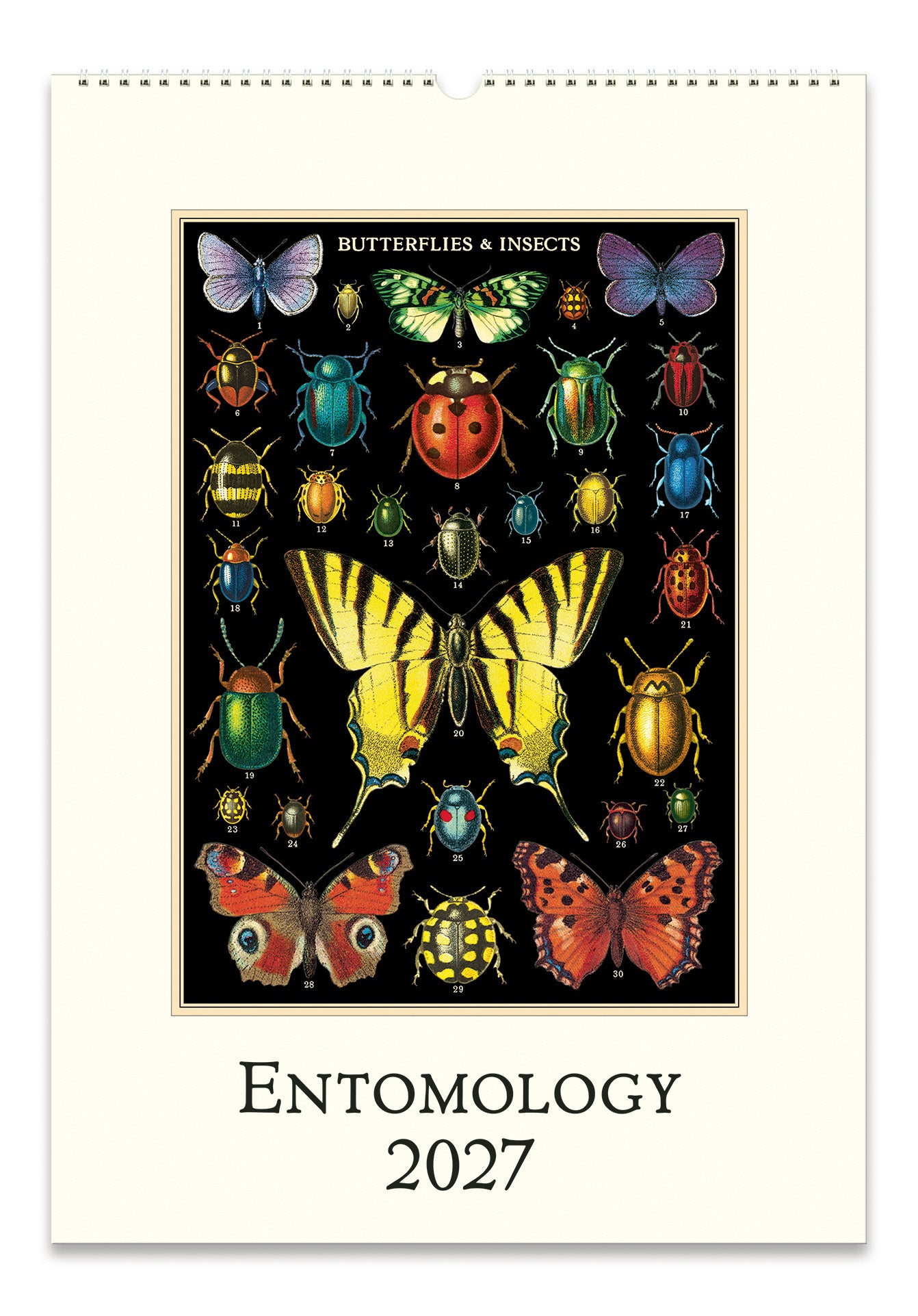 A 2027 entomology calendar featuring a vintage-style scientific illustration of various butterflies and insects on a black background, with a cream-colored cover and the title 'ENTOMOLOGY 2027' printed at the bottom.
