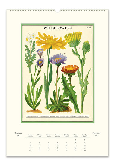 Example wall calendar page titled 'WILDFLOWERS' showing botanical illustrations of yellow, purple, and orange wildflowers with a green border on an off-white background. 