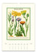 Example wall calendar page titled 'WILDFLOWERS' showing botanical illustrations of yellow, purple, and orange wildflowers with a green border on an off-white background. 