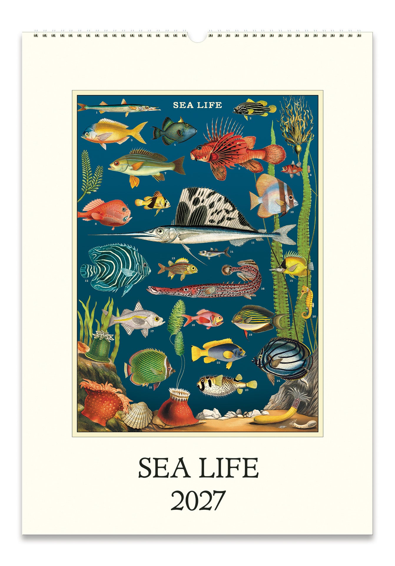 2027 Cavallini & Co. Sea Life Wall Calendar- A hanging wall calendar featuring vintage-style sea life illustration with many colorful fish, coral, and sea plants. 