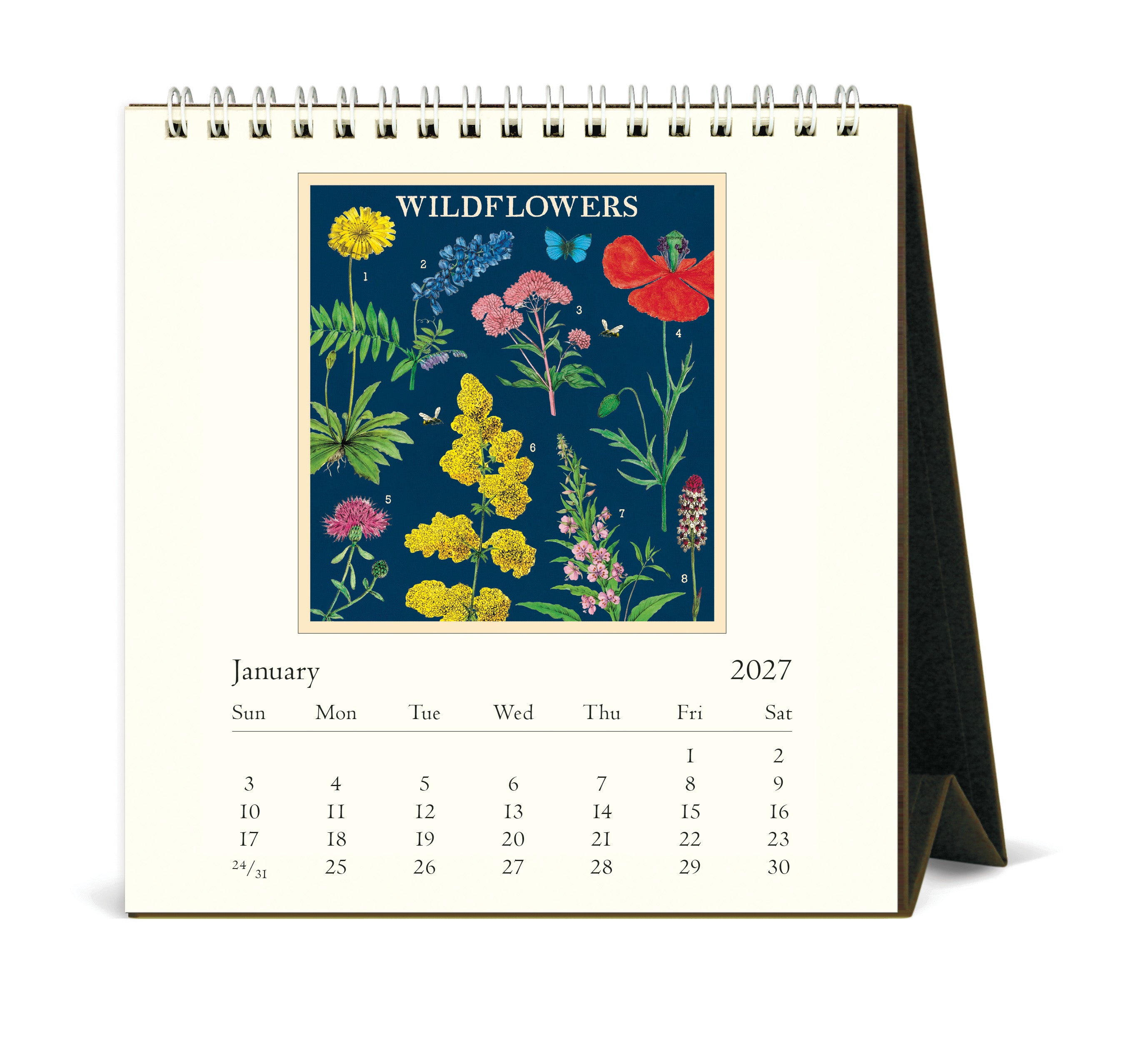 2027 Cavallini & Co. Wildflowers Desk Calendar