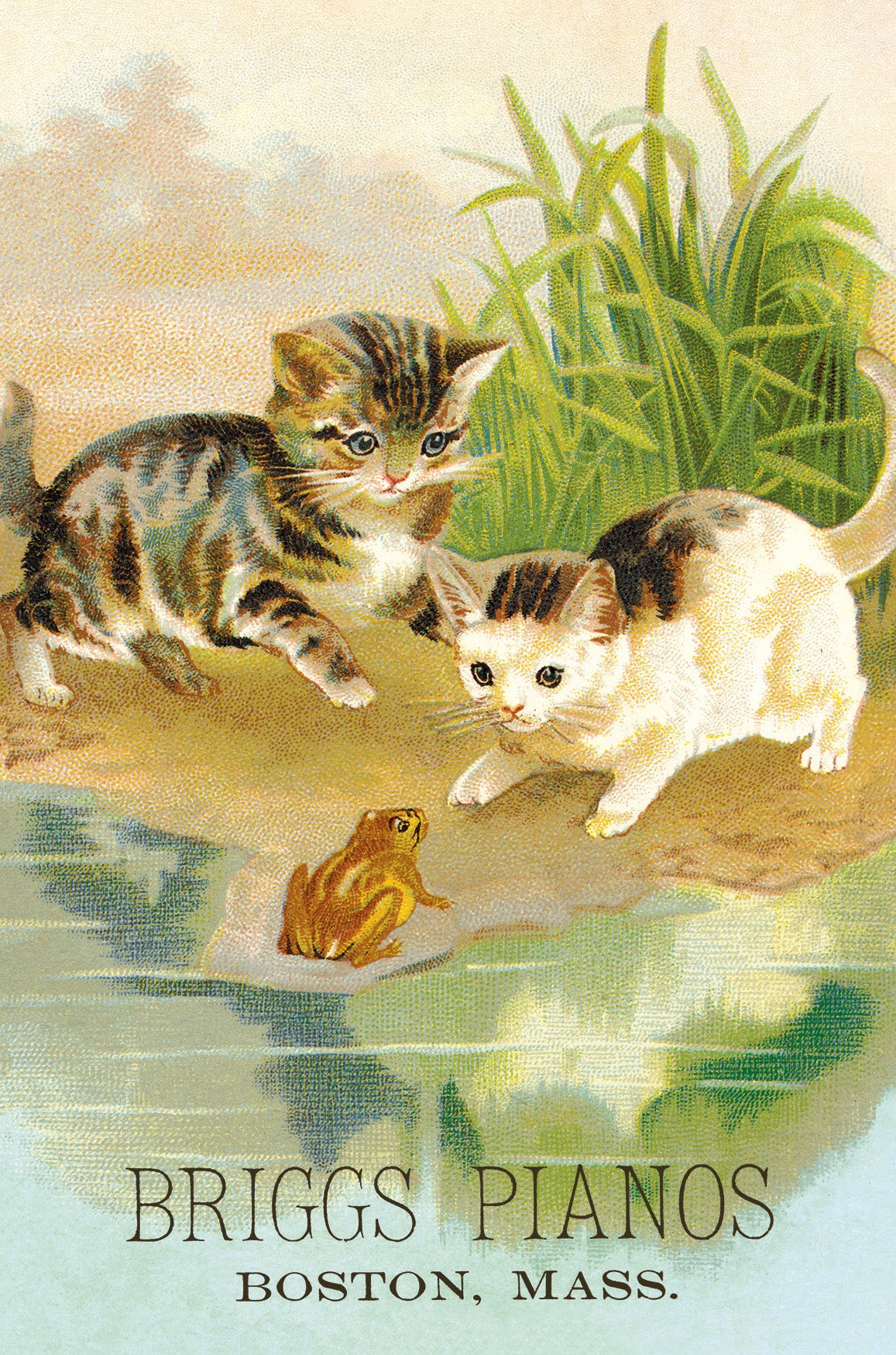Included postcard example- Two kittens and a frog by a pond with 'Briggs Pianos Boston, Mass.' text.