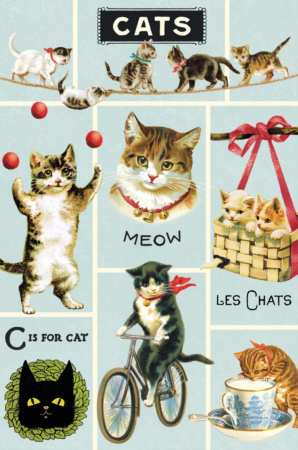 Included postcard example- Illustrations of cats in various poses with text and graphics on a light blue background.