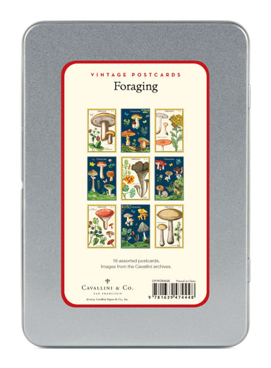 Foraging Vintage Postcards by Cavallini & Co. image showing back of tin and 9 styles of cards