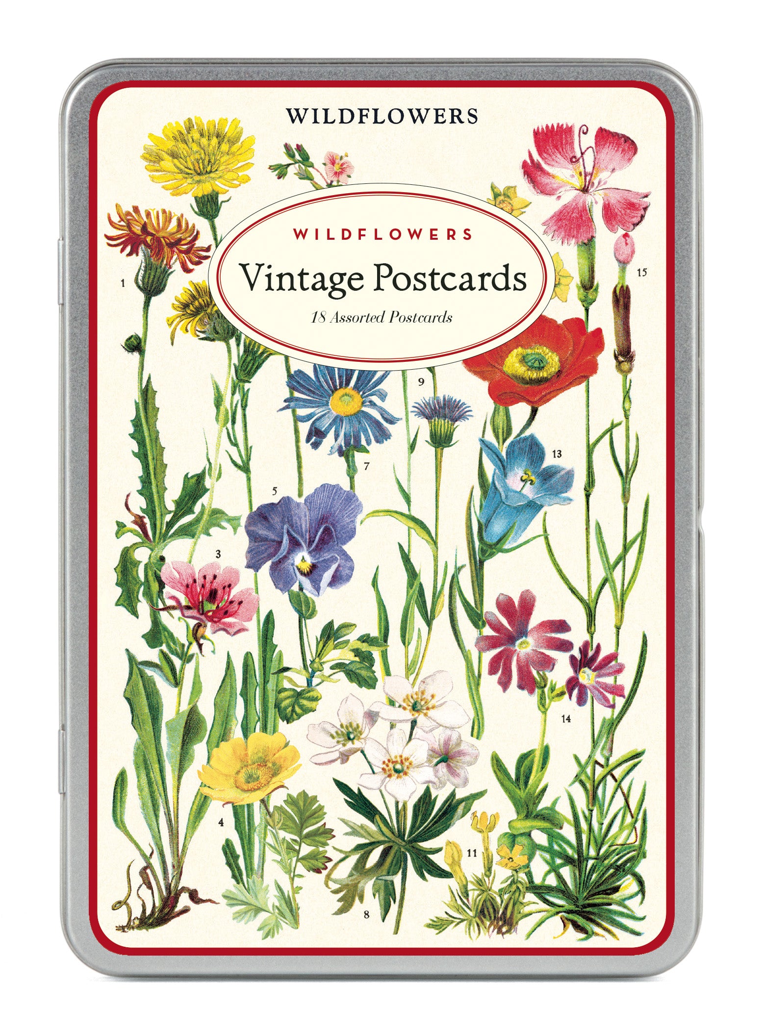 Wildflowers Version 2 Vintage Postcards by Cavallini & Co. — Two Hands  Paperie