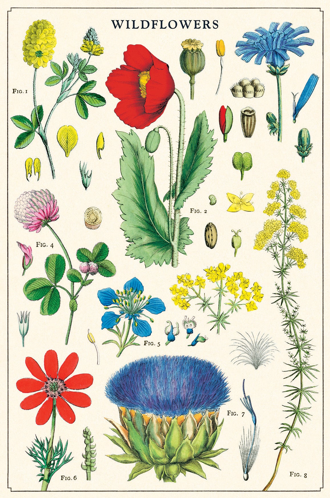 Wildflowers Version 2 Vintage Postcards by Cavallini & Co.