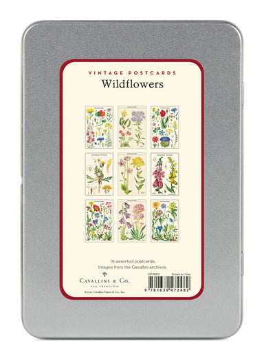 Image of Wildflowers Version 2 Vintage Postcard tin by Cavallini & Co.