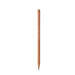 Caran d'Ache Natura School Graphite Pencil- A single wooden graphite pencil with white text 