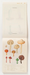Double page spread of Illustration of various mushrooms on a beige background