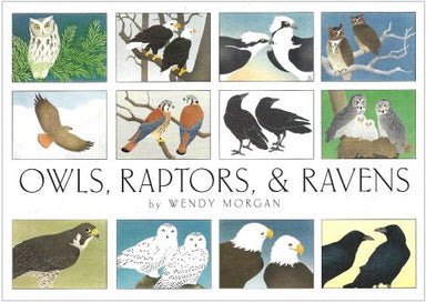 Crane Creek Graphics Owls, Raptors, & Ravens Notecard Folio- front cover of 'Owls, Raptors, & Ravens' by Wendy Morgan featuring illustrations of various birds.