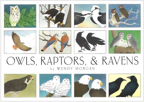 Crane Creek Graphics Owls, Raptors, & Ravens Notecard Folio- front cover of 'Owls, Raptors, & Ravens' by Wendy Morgan featuring illustrations of various birds.