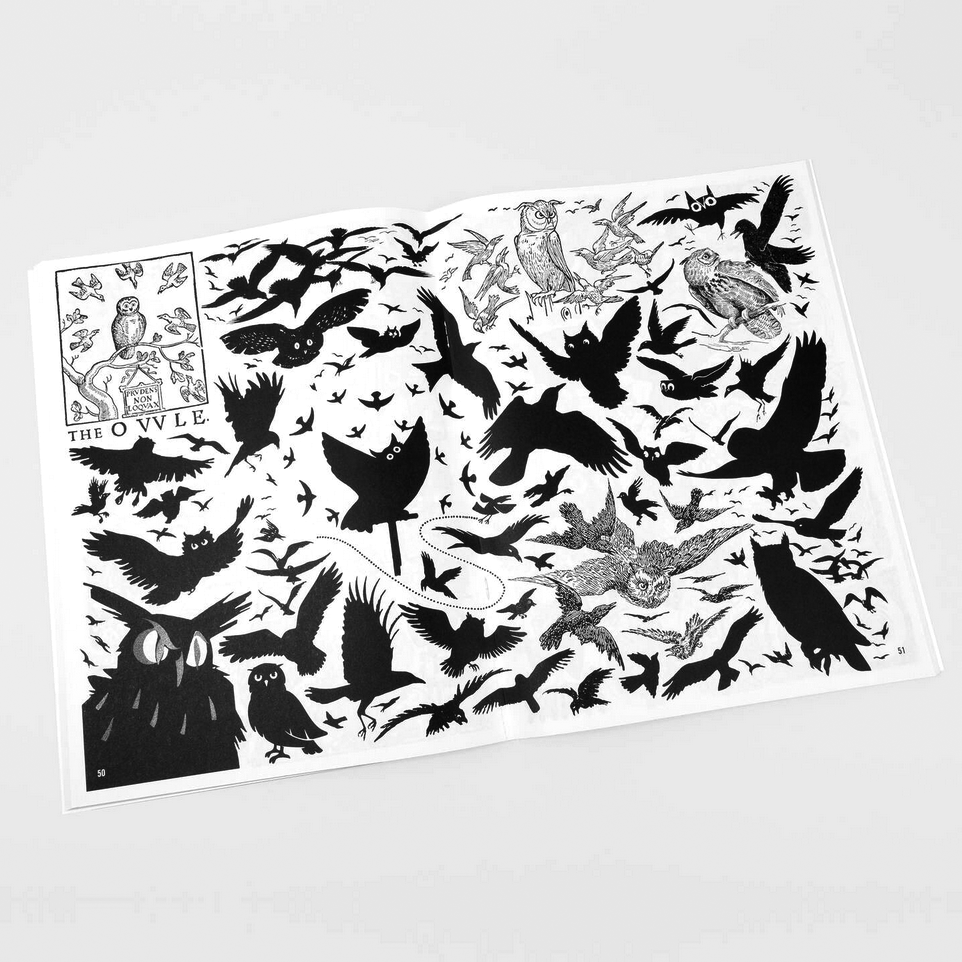 two pages of black and white illustrations of owls and crows