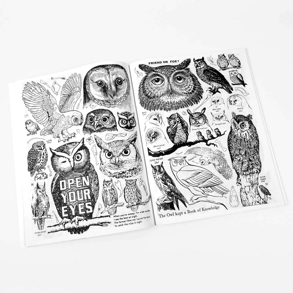 Open book of owl-themed black and white illustrations on a white background
