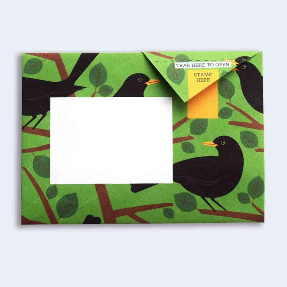 Pigeon Post- Dawn Chorus sample with black birds with green background showing address area