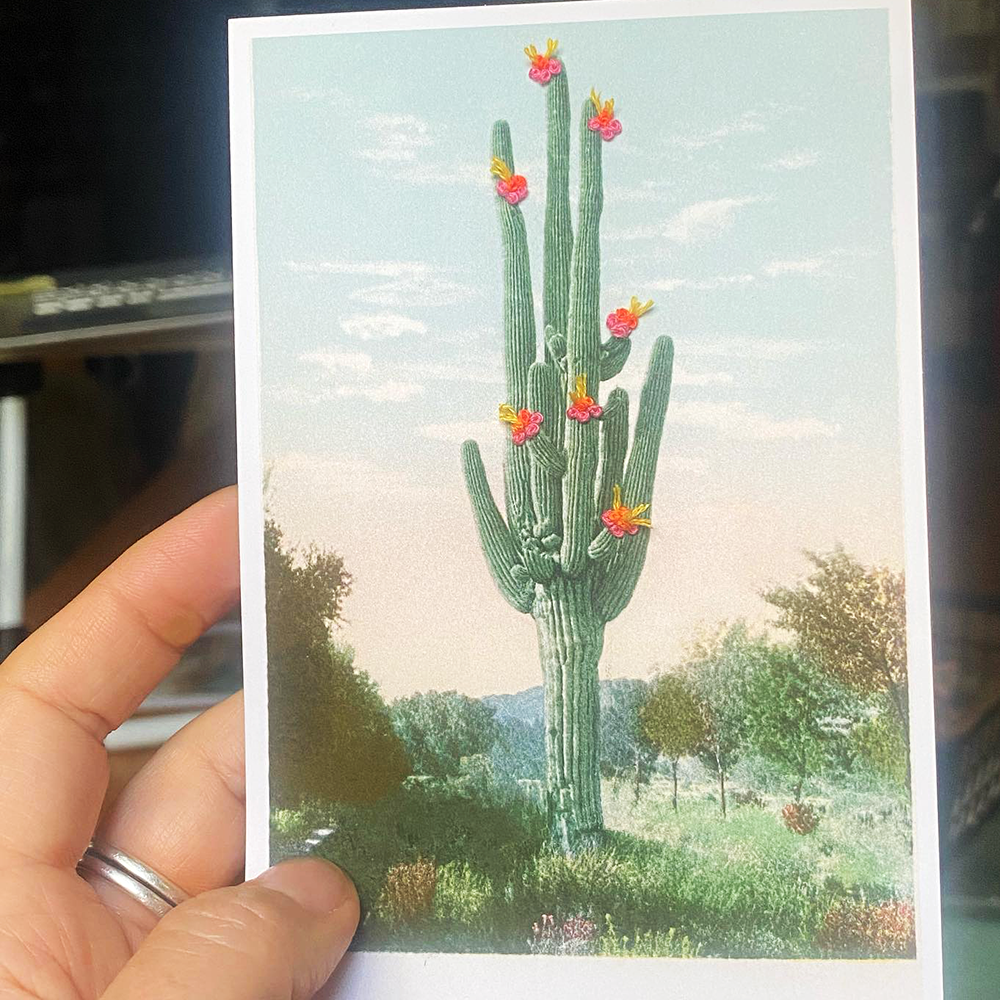 Embroidered cactus photo postcard