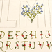 Alphabet letters with floral decorations on a textured background