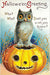 Vintage Halloween postcard featuring a gray owl perched on top of a carved orange pumpkin, with the text 'Halloween Greeting' and 'Who? Who? Don't you wish you knew?' on a blue background.