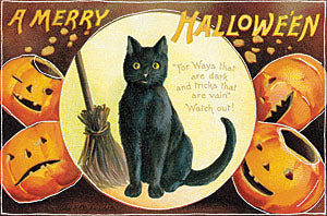 Vintage Halloween postcard featuring a black cat sitting in the center, surrounded by carved pumpkins and a broom, with the text 'A Merry Halloween' at the top.