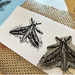 Block Printing – Celebrating Pollinators printed moth class sample and printing plate- student work