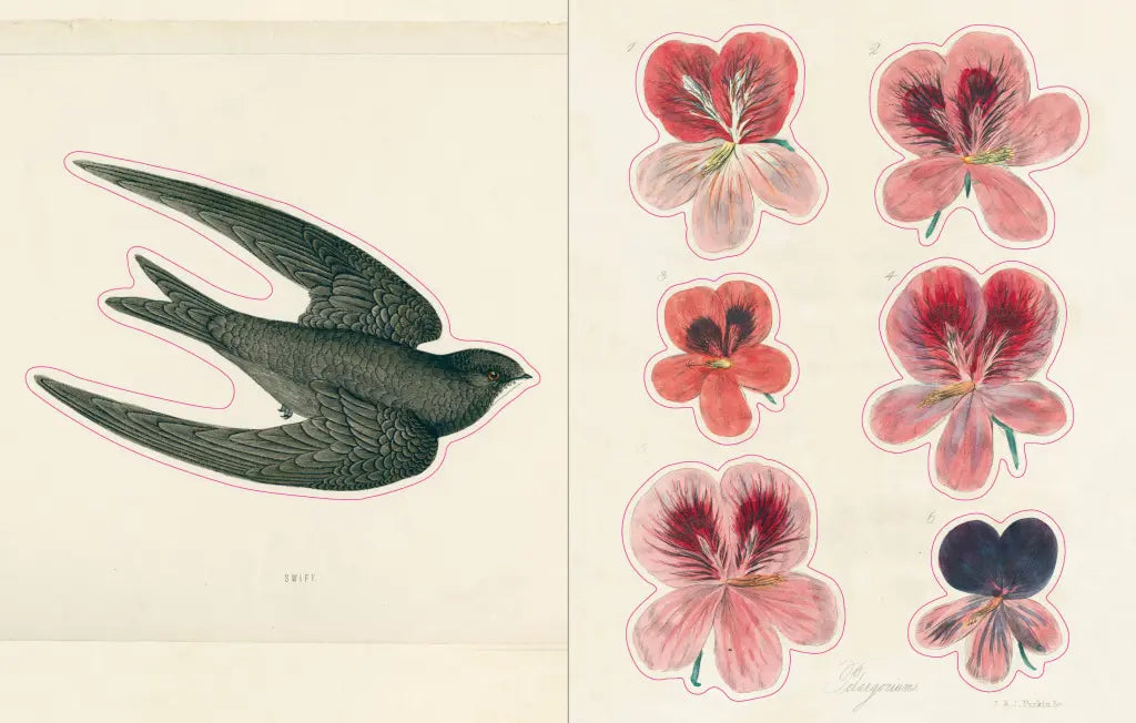 John Derian Sticker Book example pages- Illustration of a swallow and pink flowers on a beige background