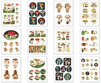 image of Cavallini & Co. Mushrooms Decorative Stickers showing all designs