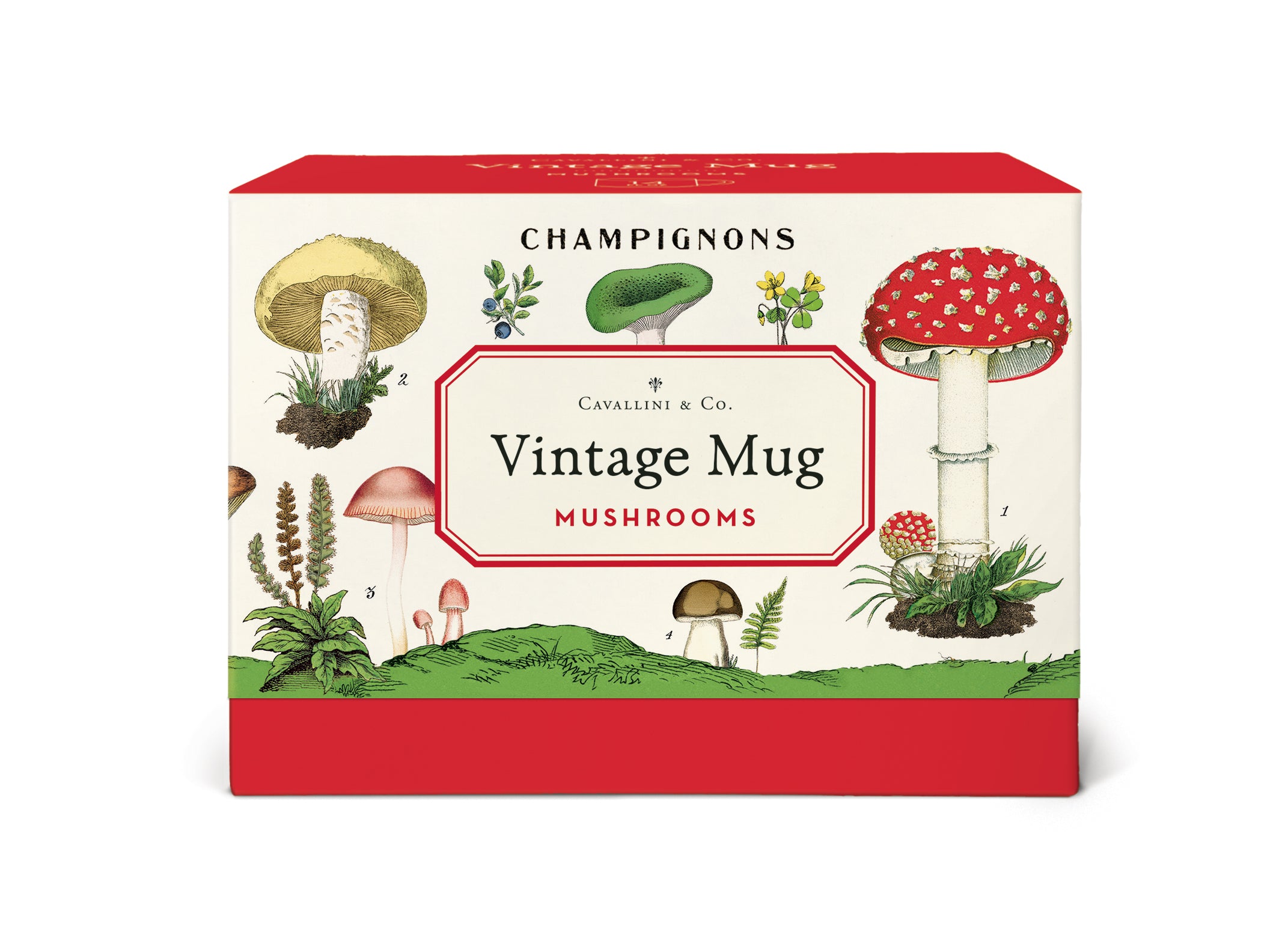image of Cavallini & Co. Mushrooms Ceramic Mug packaging