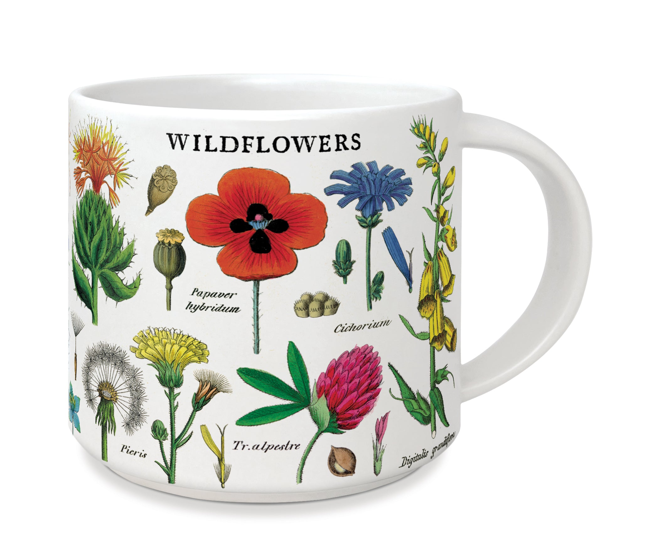 Image of Cavallini & Co. Wildflowers Ceramic Mug