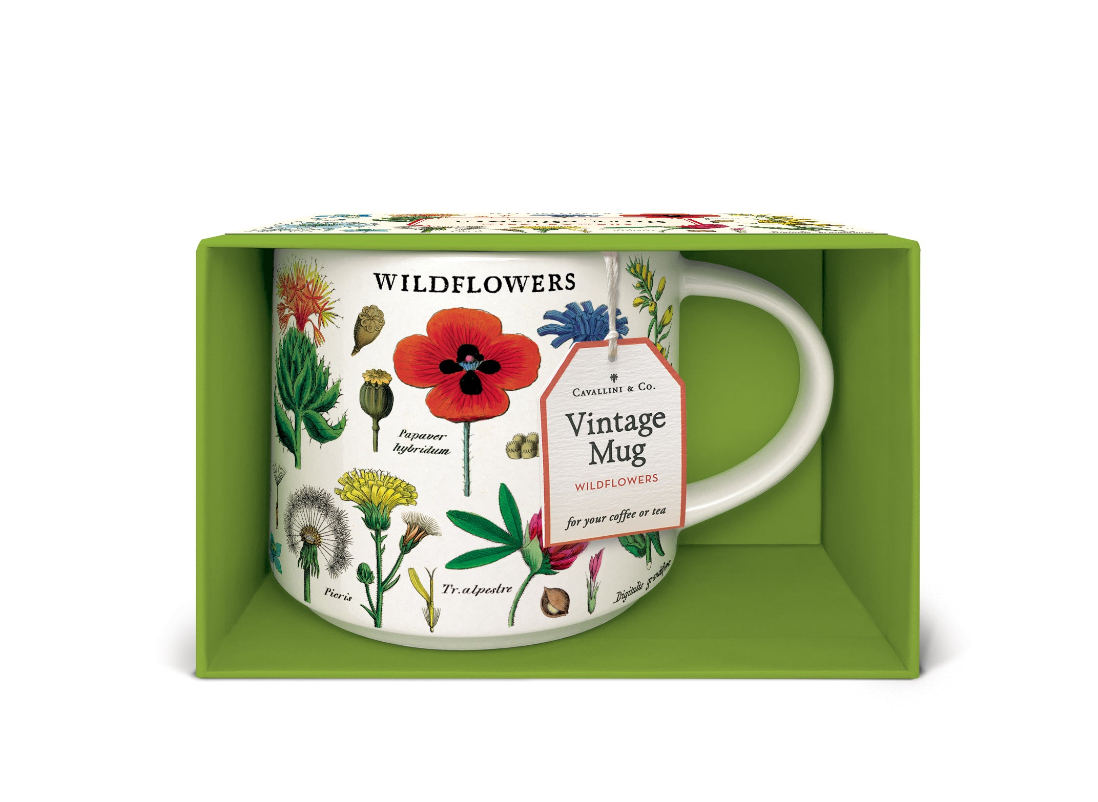 image of Cavallini & Co. Wildflowers Ceramic Mug inside box