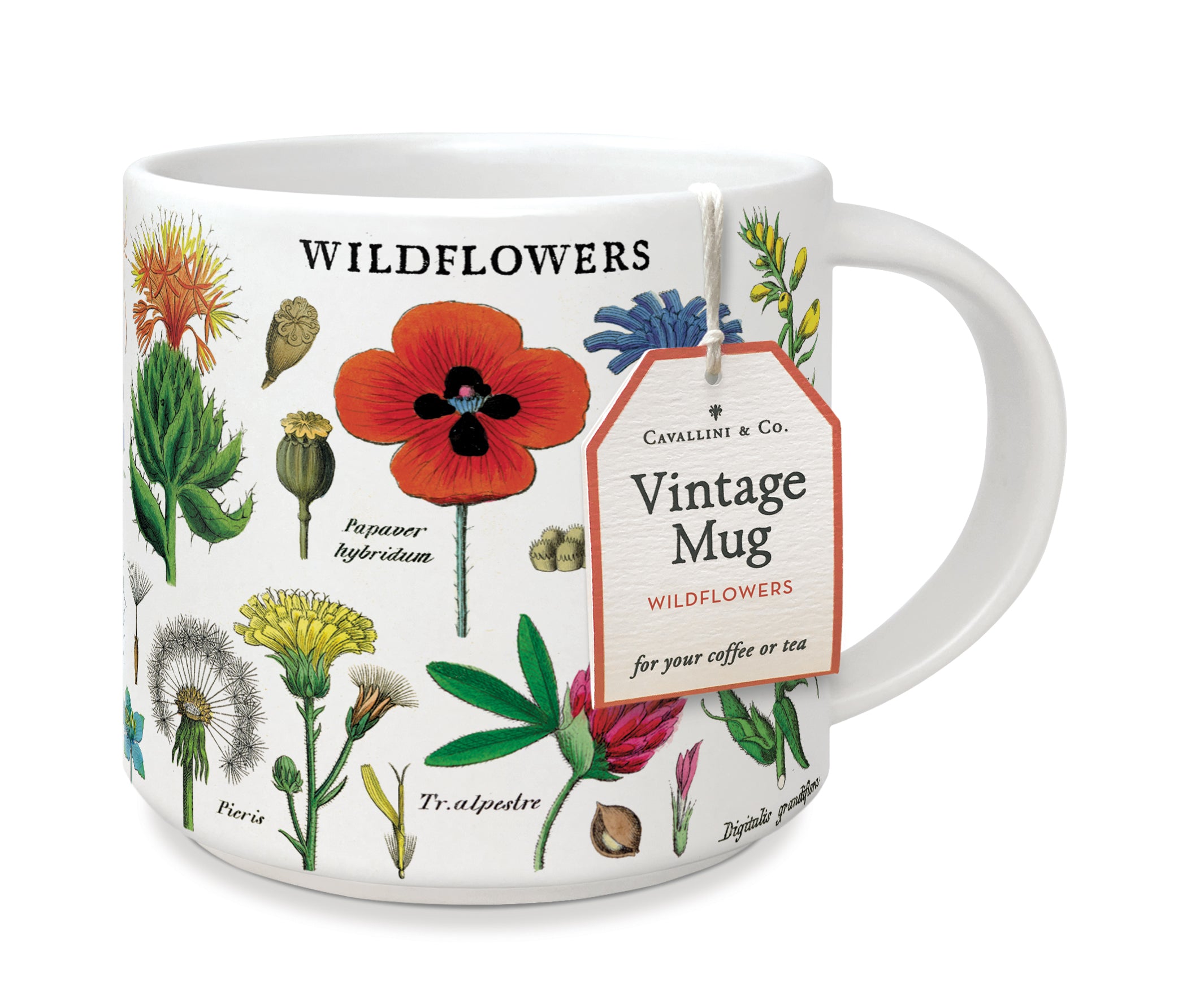 image of Cavallini & Co. Wildflowers Ceramic Mug