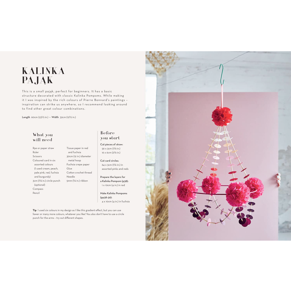 Intro page to Kalinka Pajak with project image