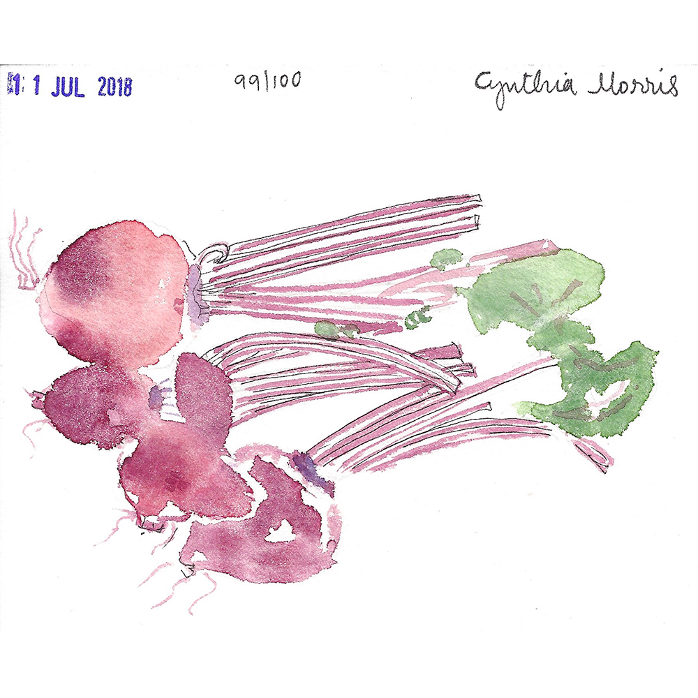 Drawing – A Path to Daily Meditation Class sample- beets illustration with watercolor accents