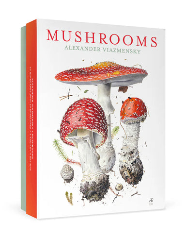 Mushrooms: Alexander Viazmensky Boxed Notecard Assortment image of front of box