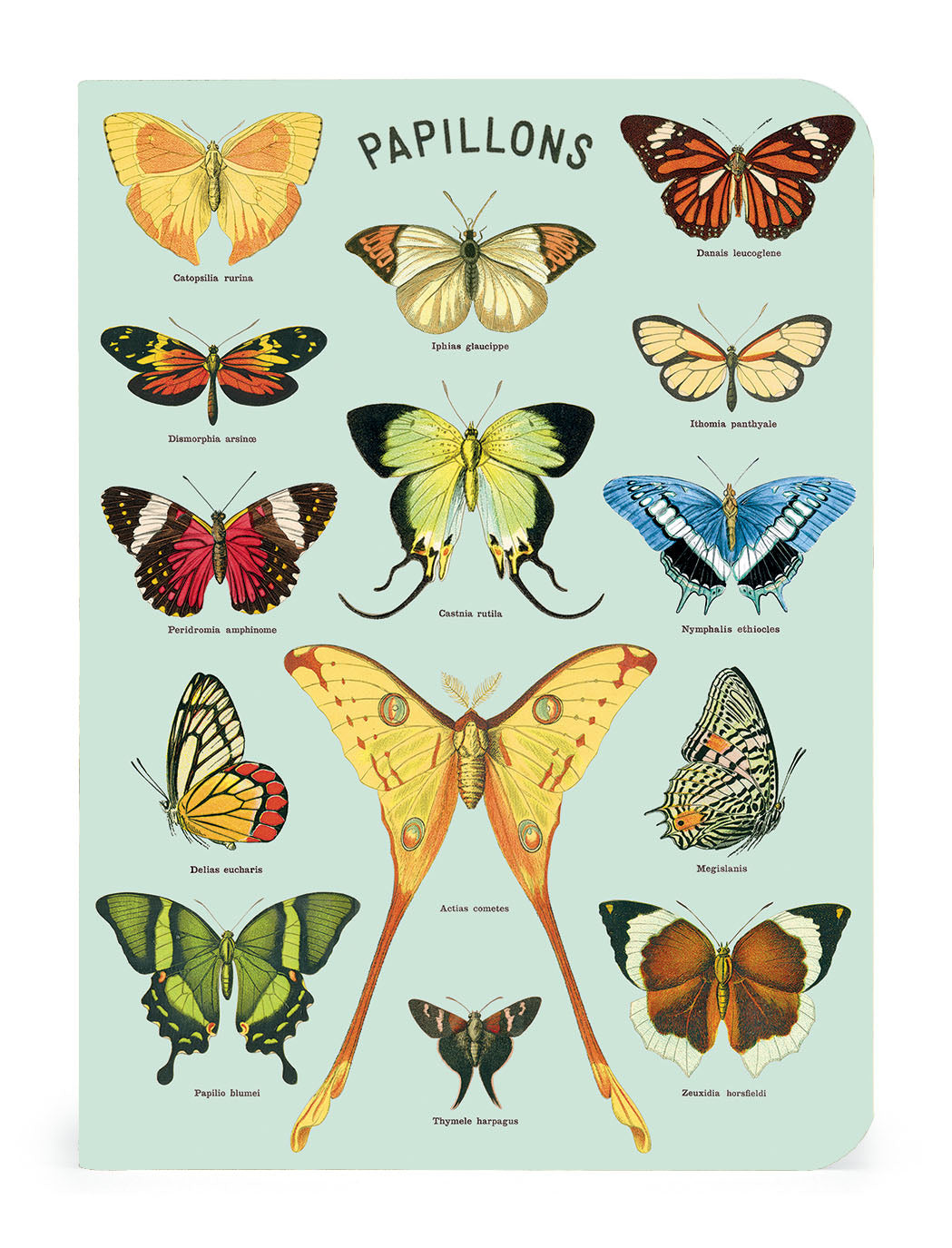 Cavallini & Co. Butterflies Mini Notebook Set