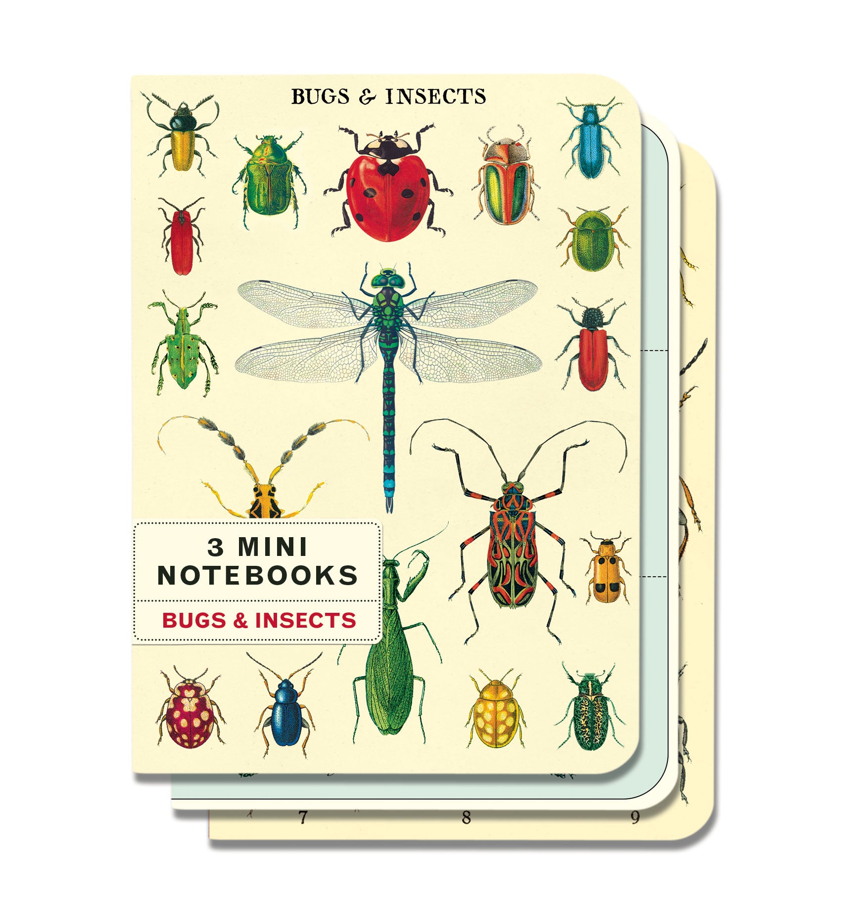 Cavallini & Co. Bugs & Insects Mini Notebook Set — Two Hands Paperie