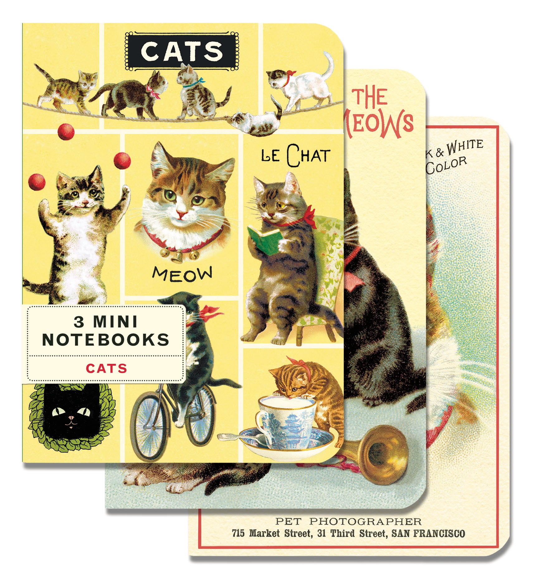 Cavallini & Co. Cats Mini Notebook Set- Set of three mini notebooks with cat illustrations on a white background