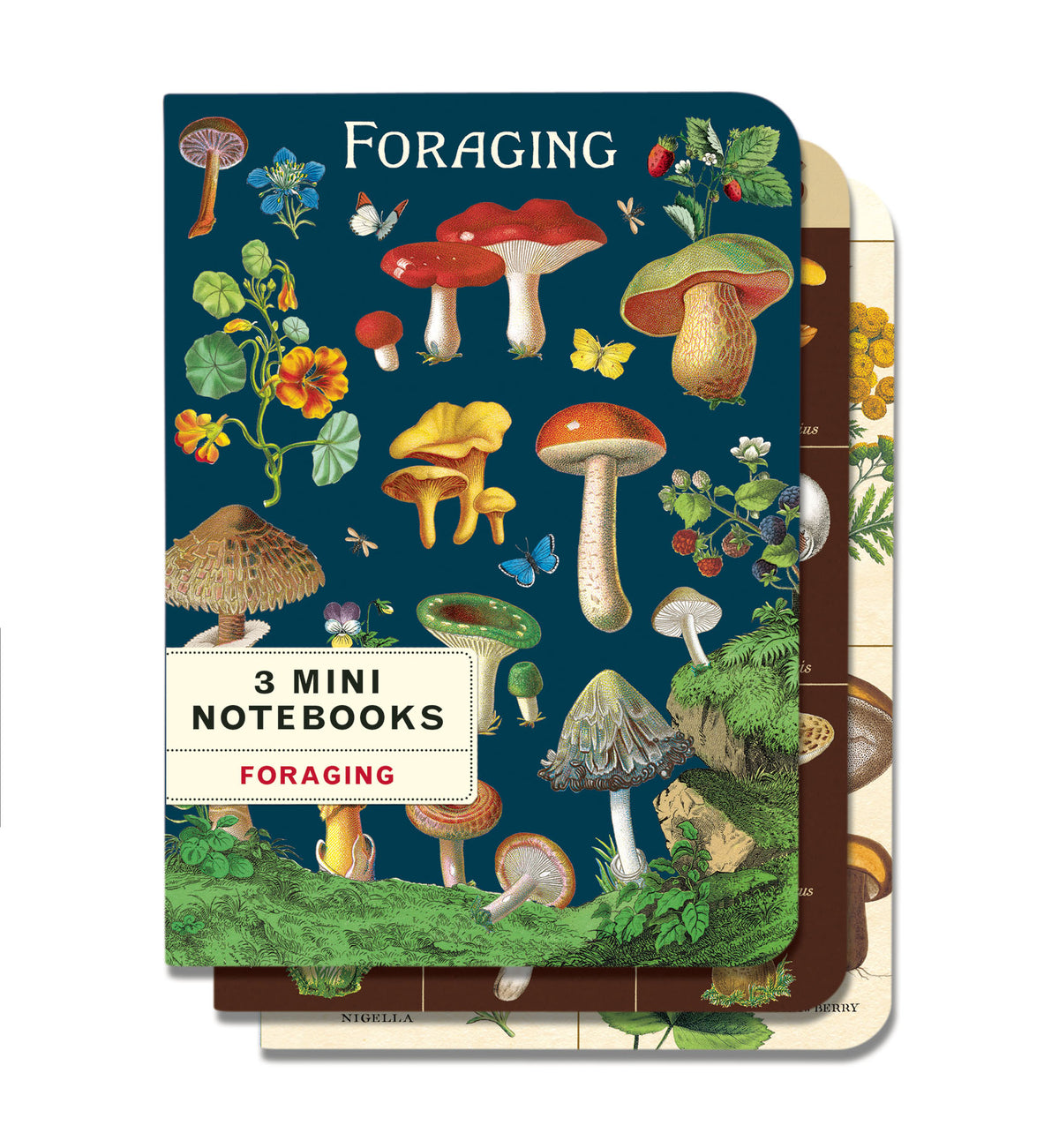 Cavallini & Co. Foraging Mini Notebook Set — Two Hands Paperie