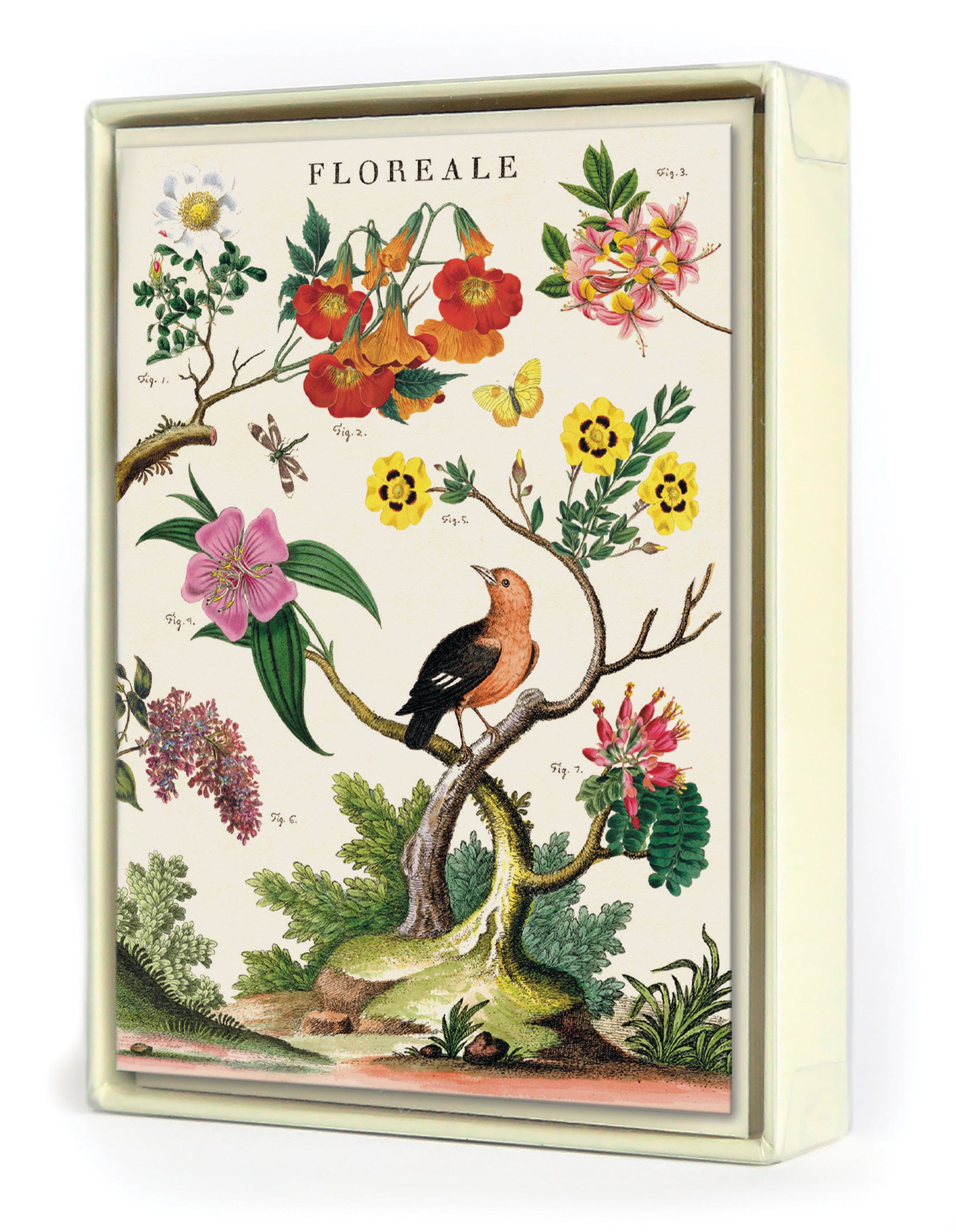 Cavallini & Co. Floreale Boxed Notecards