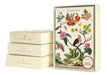 Cavallini & Co's. Floreale notecards are full of color and beautiful and artistic flowers, trees, and birds.