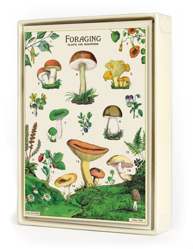 Cavallini & Co. Foraging Boxed Notecards