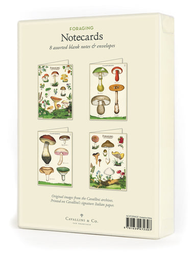 Cavallini & Co's. Foraging Notecards feature mostly mushrooms, but a few other edible plants of note, on a lush and verdant forest floor.  