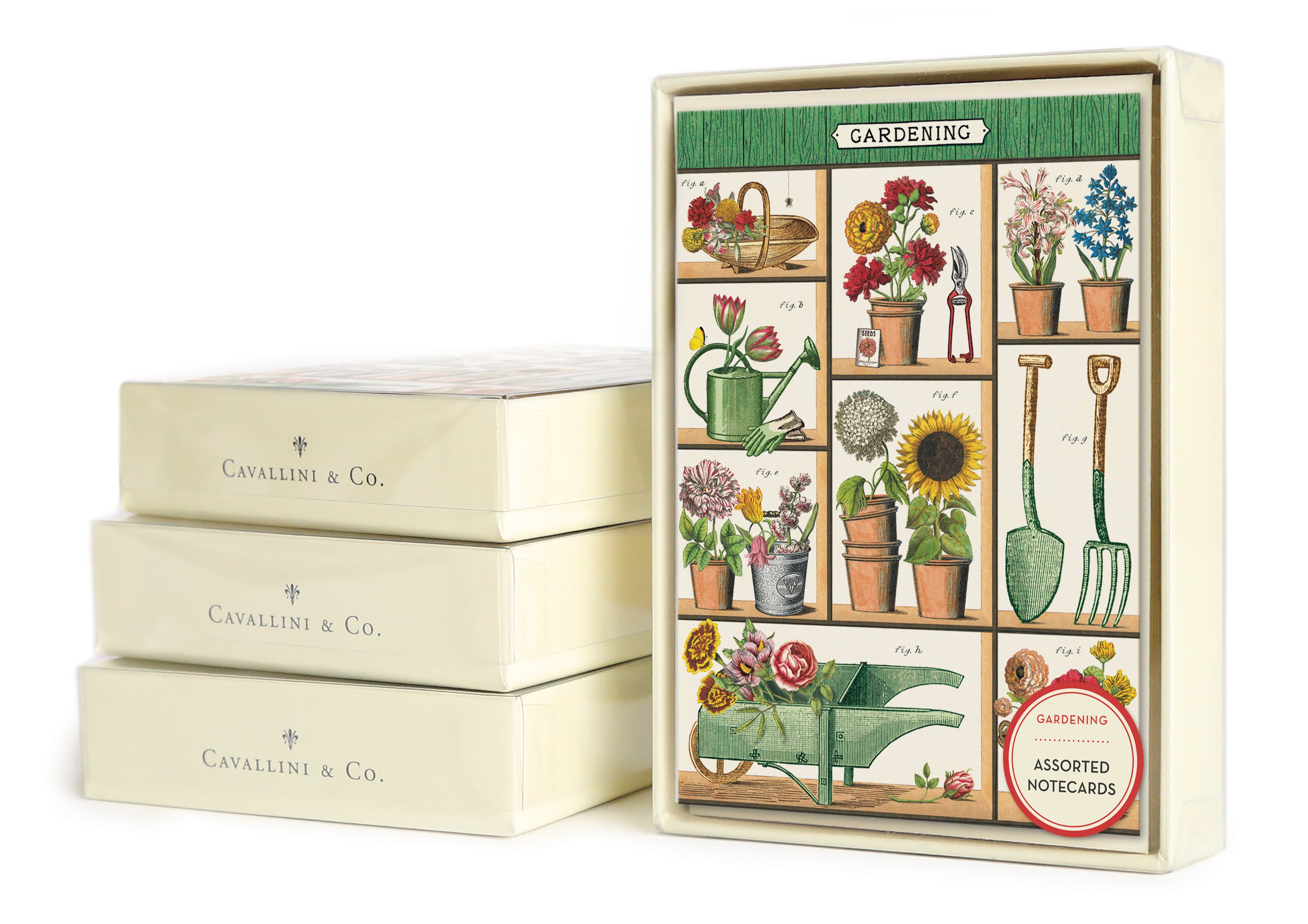Cavallini & Co's. Gardening Boxed Notecard set is all about the beauty and color of a garden setting. 
