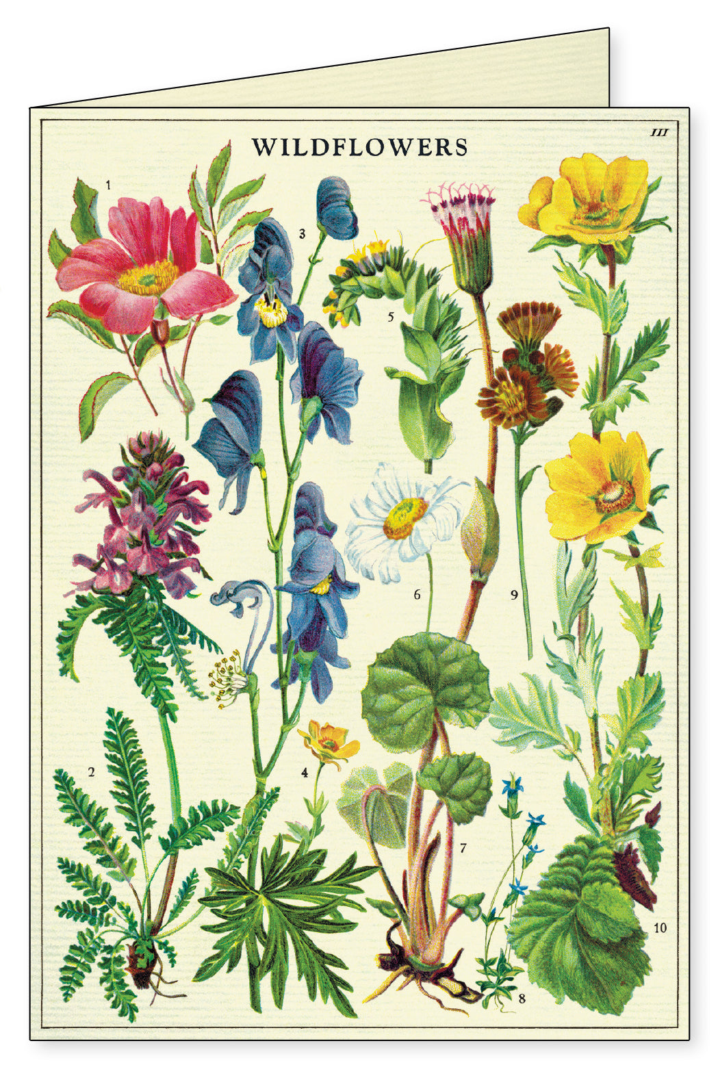 Wildflowers Printable Stationery,Vintage Letter set
