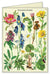  Send a note to a gardening friend and you are sure to brighten their day! Notecard set features 4 different card designs.