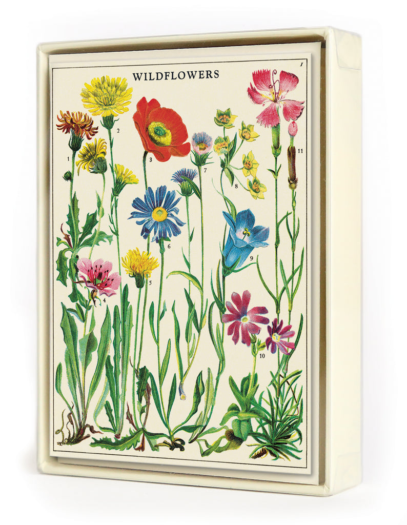 Wildflowers Version 2 Vintage Postcards by Cavallini & Co. — Two Hands  Paperie