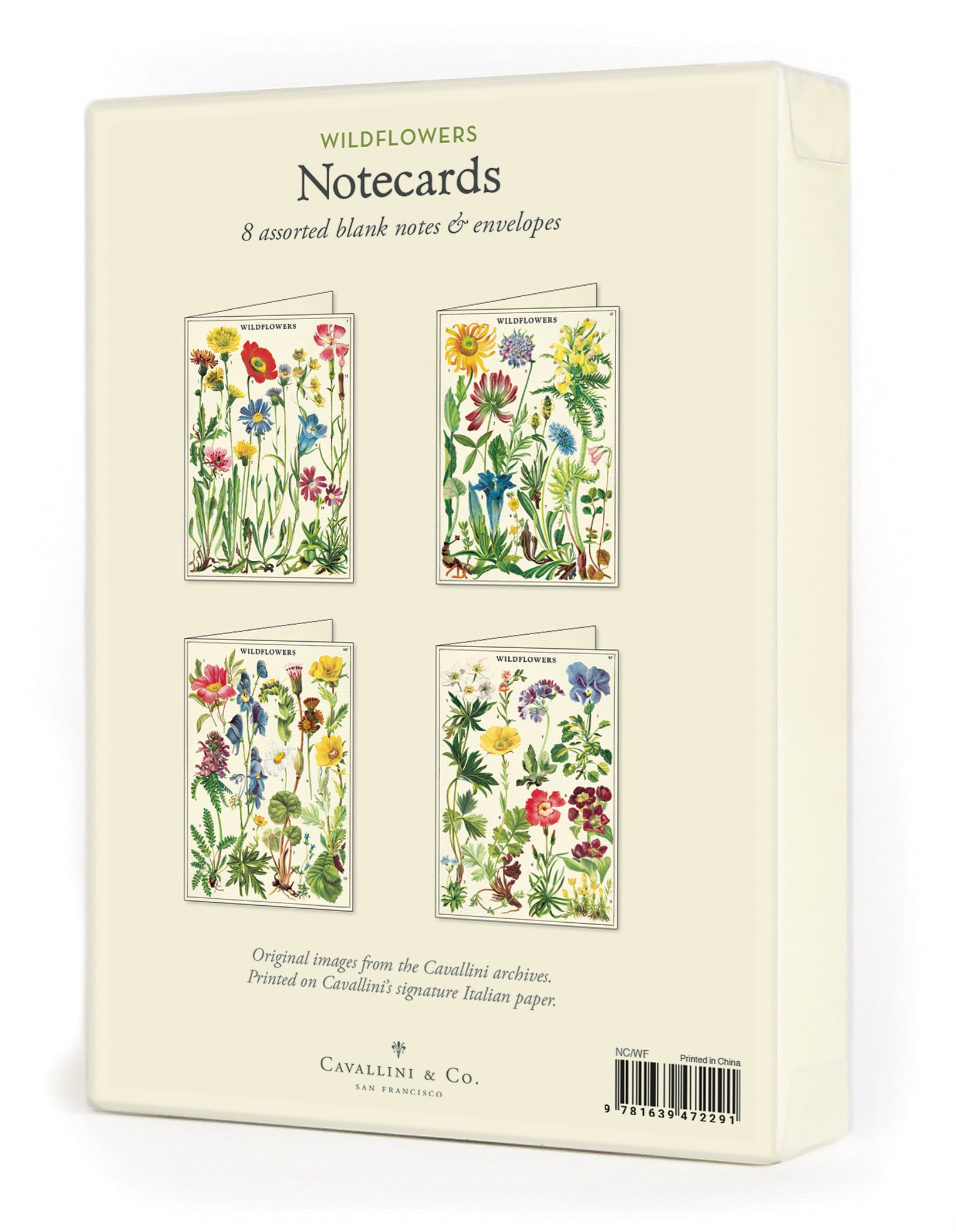 Cavallini & Co's. Wildflowers Boxed Notecard set features a collection of Cavallini's vintage wildflower images. 