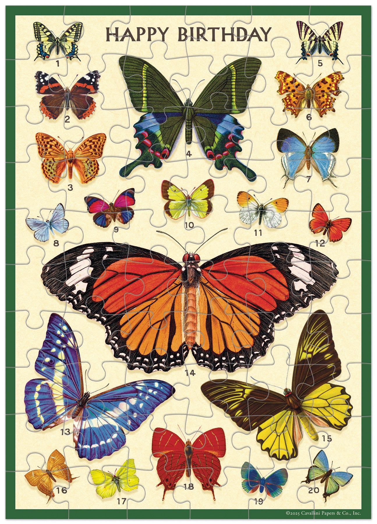 Cavallini & Co. Happy Birthday Butterflies Puzzle Greeting Card- miniature Jigsaw puzzle with illustrations of butterflies on a 'Happy Birthday' card