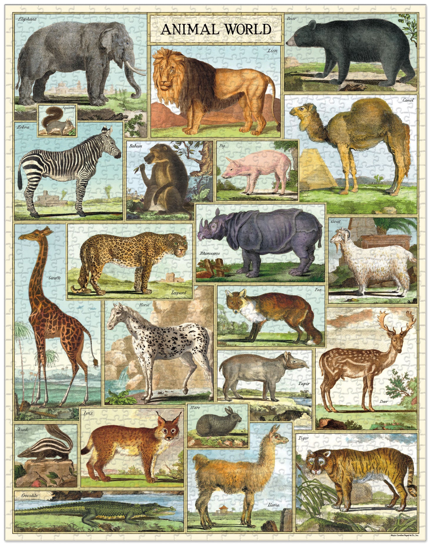This puzzle features a collection of animals from around the world- zebra, horse, goat, and skunk, and of course a lion, tiger and bear!