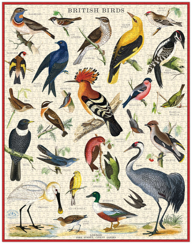 Cavallini & Co. British Birds 1000 Piece Puzzle finished puzzle