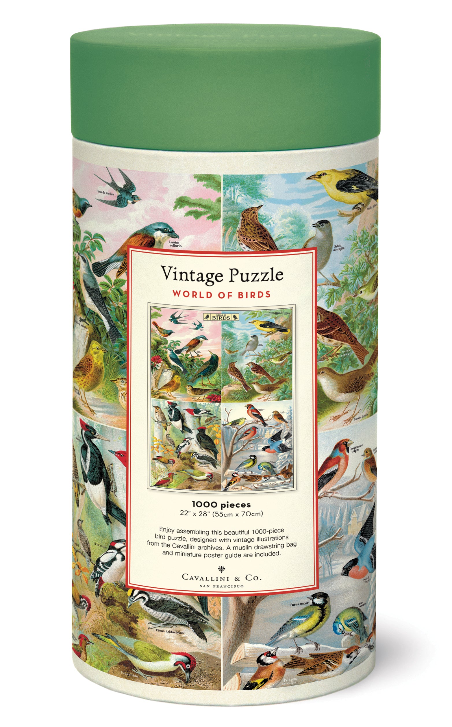 Cavallini & Co. World of Birds 1000 Piece Puzzle- packaging image showing cylindrical puzzle box with vintage bird illustrations on a white background